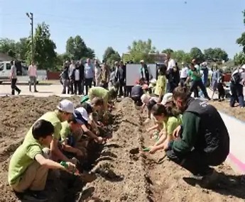 Bostan Ekim Dikim Alanları 