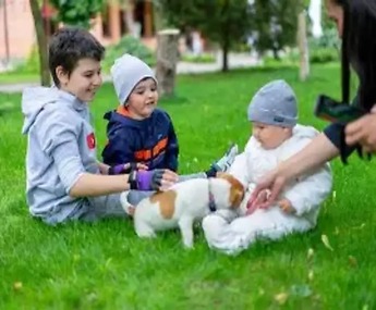 Sevimli Dostlarımız Kompost Çalışması