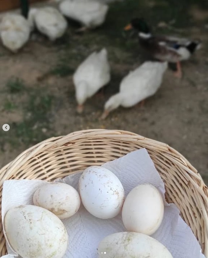 Çocuğunuzu Hayata Hazırlayan Bir Atölye: Doğa Kaşifleri